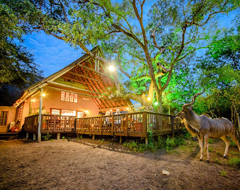 Needles Safari Lodge 